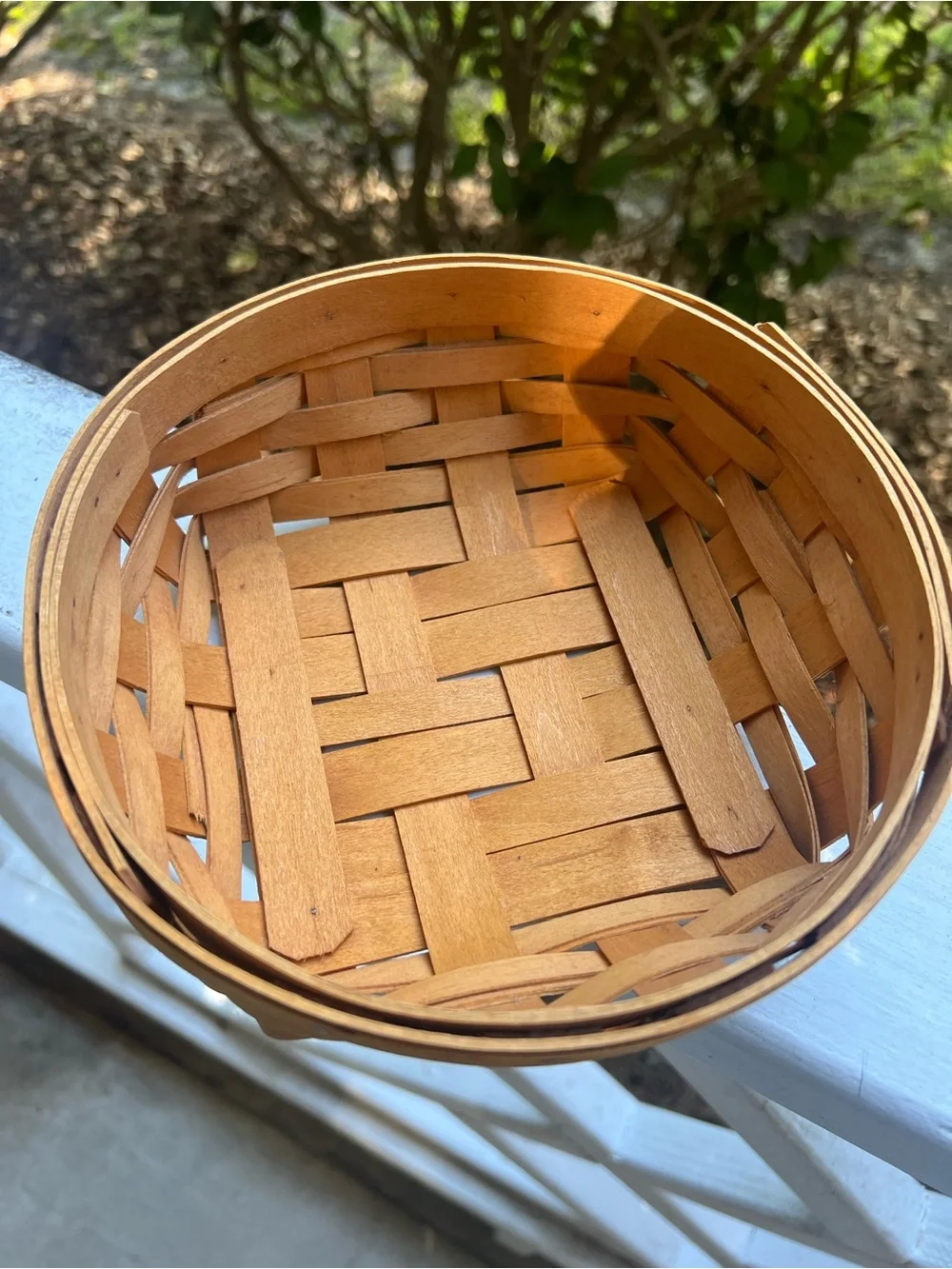 Longaberger Handwoven Artist Signed 2001 RoundBasket with Plastic Divider Insert